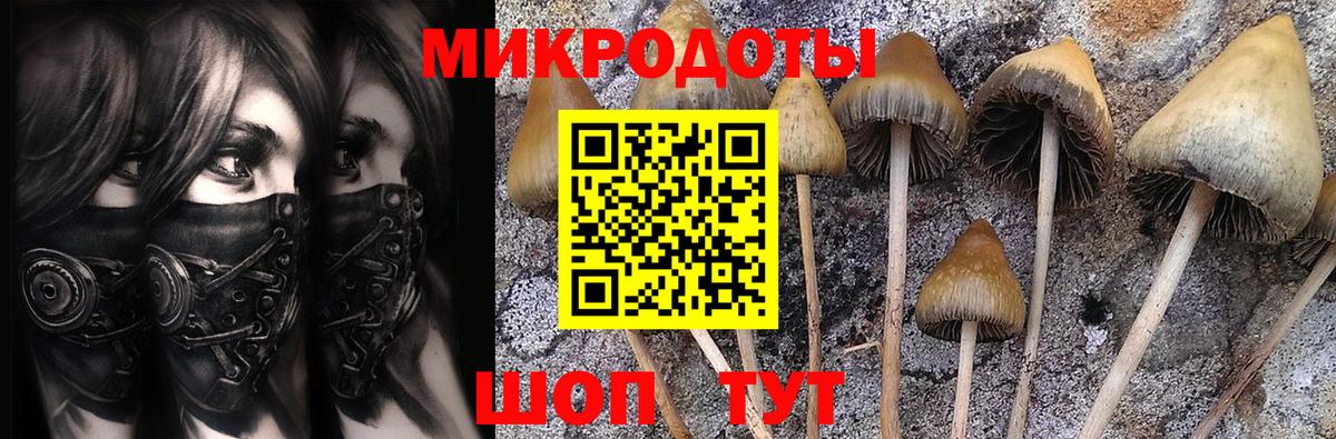 Псилоцибиновые грибы MAGIC MUSHROOMS Карпинск
