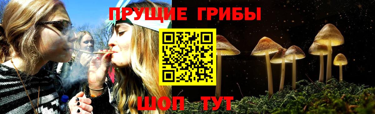 Галлюциногенные грибы MAGIC MUSHROOMS  Карпинск  Псилоцибиновые грибы ЛСД 